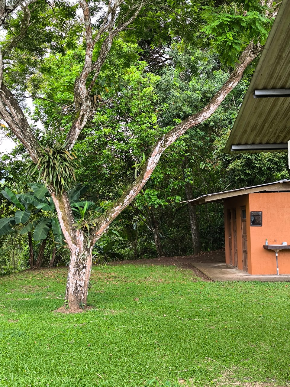 Baños disponibles en Finca La Mariola