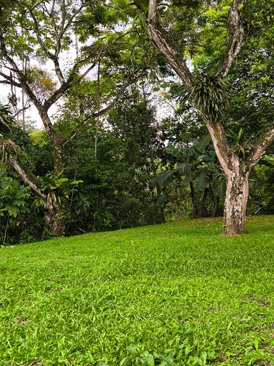 Zona verde para camping