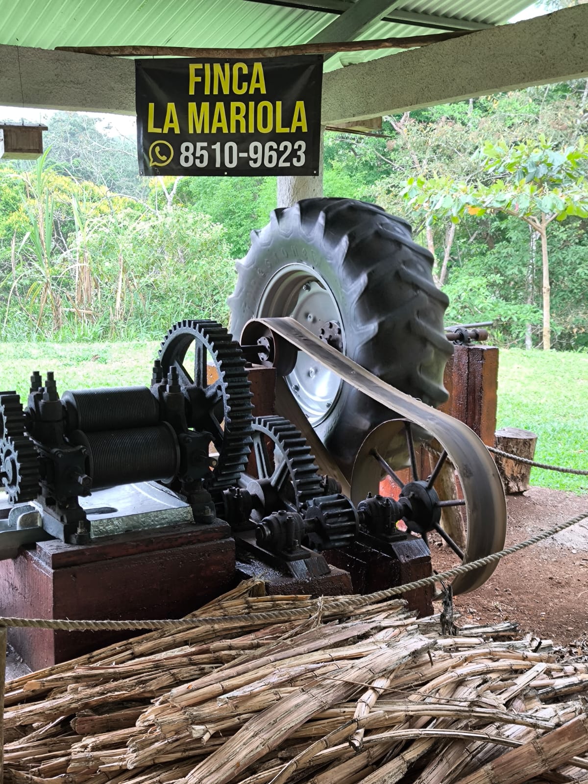 Trapiche tradicional en Finca La Mariola